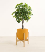 Load image into Gallery viewer, Sunset Orange stand:bamboo