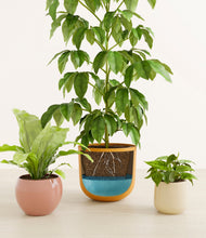 Load image into Gallery viewer, Evening Sky