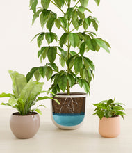 Load image into Gallery viewer, Sandy