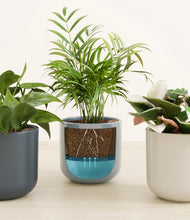 Load image into Gallery viewer, Pebble Shore