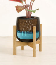 Load image into Gallery viewer, Black stand:bamboo