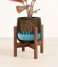 Load image into Gallery viewer, Black stand:walnut