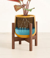 Load image into Gallery viewer, Mustard stand:walnut