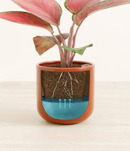 Load image into Gallery viewer, Glossy Red