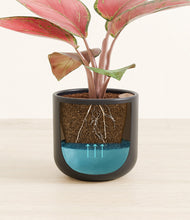 Load image into Gallery viewer, Stone Black