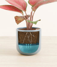 Load image into Gallery viewer, Misty Blue