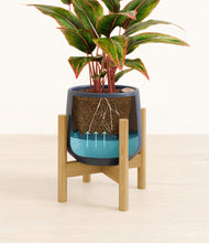 Load image into Gallery viewer, Deep Navy stand:bamboo