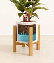 Load image into Gallery viewer, White stand:light