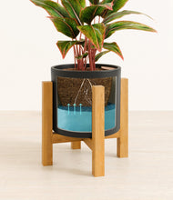 Load image into Gallery viewer, Black stand:light