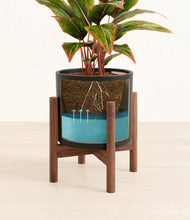 Load image into Gallery viewer, Black stand:walnut