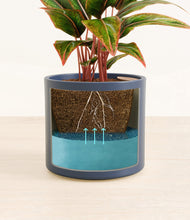 Load image into Gallery viewer, Deep Navy