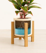 Load image into Gallery viewer, Cream stand:light