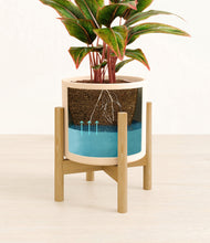 Load image into Gallery viewer, Cream stand:bamboo