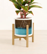 Load image into Gallery viewer, White stand:bamboo