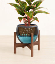 Load image into Gallery viewer, Deep Navy stand:walnut