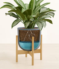 Load image into Gallery viewer, Iron Gray stand:bamboo