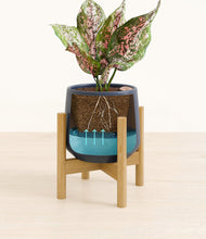 Load image into Gallery viewer, Deep Navy stand:bamboo