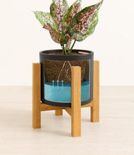 Load image into Gallery viewer, Black stand:light