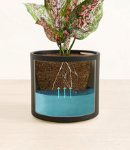 Load image into Gallery viewer, Black