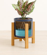 Load image into Gallery viewer, Deep Navy stand:light