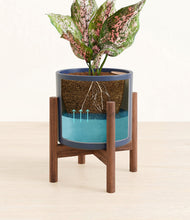 Load image into Gallery viewer, Deep Navy stand:walnut