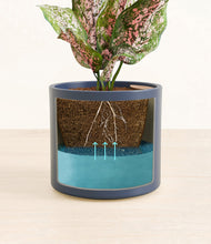 Load image into Gallery viewer, Deep Navy