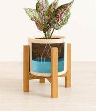 Load image into Gallery viewer, Cream stand:light