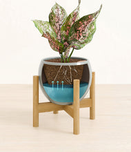 Load image into Gallery viewer, Deep Ocean stand:bamboo