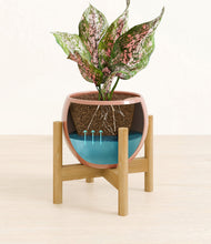 Load image into Gallery viewer, Calm Rose stand:bamboo