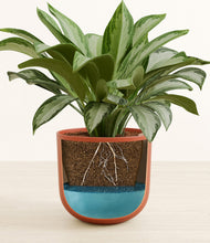 Load image into Gallery viewer, Earth Red