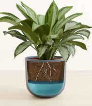 Load image into Gallery viewer, Iron Gray