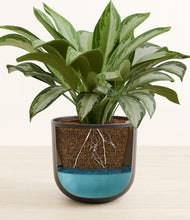 Load image into Gallery viewer, Stone Black