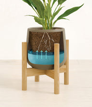 Load image into Gallery viewer, Olive stand:bamboo