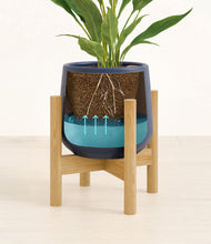 Load image into Gallery viewer, Deep Navy stand:bamboo