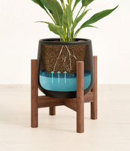 Load image into Gallery viewer, Black stand:walnut