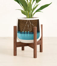 Load image into Gallery viewer, White stand:walnut