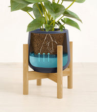 Load image into Gallery viewer, Deep Navy stand:bamboo