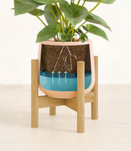 Load image into Gallery viewer, Gentle Pink stand:bamboo