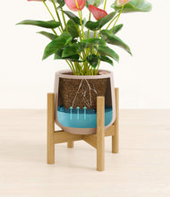 Load image into Gallery viewer, Eternal Gray stand:bamboo