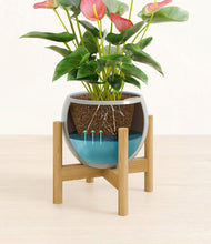 Load image into Gallery viewer, Deep Ocean stand:bamboo