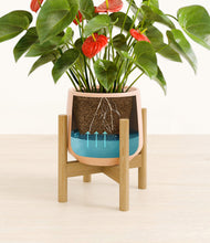 Load image into Gallery viewer, Gentle Pink stand:bamboo