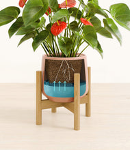Load image into Gallery viewer, Calm Rose stand:bamboo