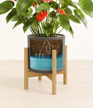 Load image into Gallery viewer, Dark Olive stand:bamboo