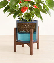 Load image into Gallery viewer, Deep Navy stand:walnut