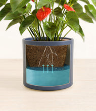 Load image into Gallery viewer, Deep Navy