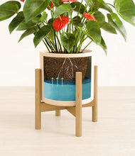 Load image into Gallery viewer, Cream stand:bamboo