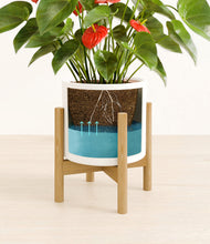 Load image into Gallery viewer, White stand:bamboo