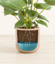 Load image into Gallery viewer, Glossy Pink