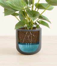 Load image into Gallery viewer, Iron Gray