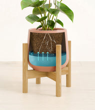 Load image into Gallery viewer, Calm Rose stand:bamboo